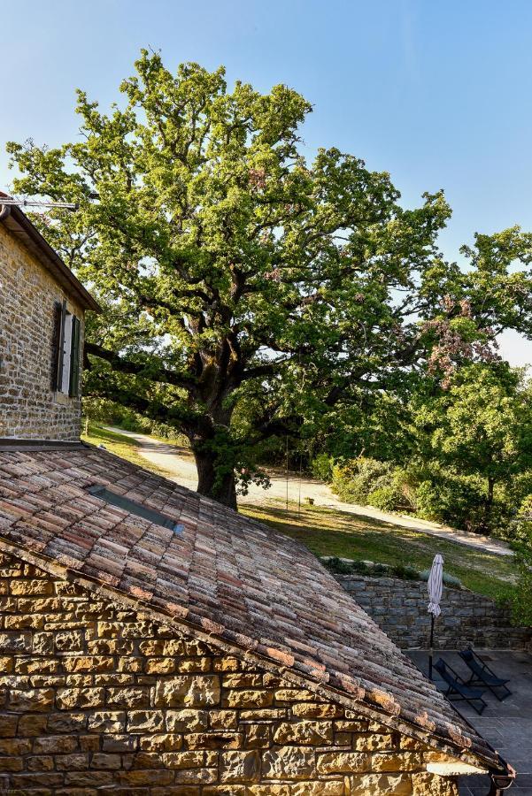 L'abbraccio Della Quercia - Bed & Breakfast